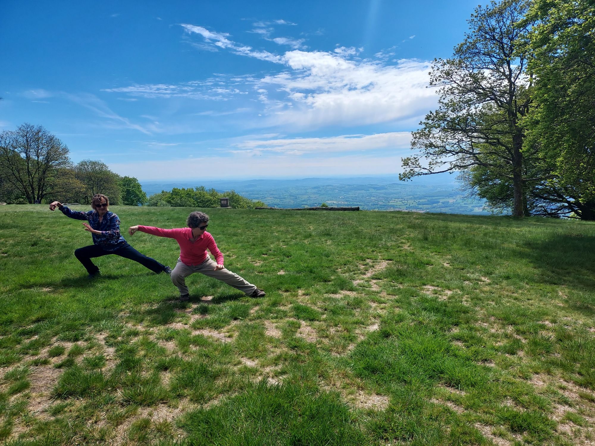 Formation tai chi corps vivant corps conscient