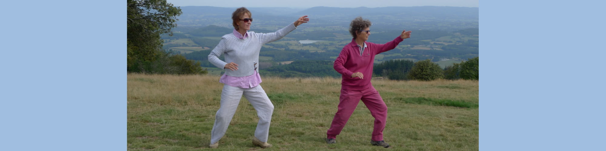 Formation en Tai chi et Qi Gong