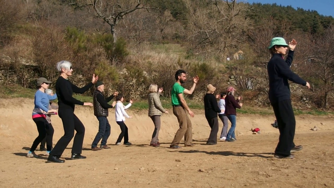 Groupe pratiquant le kung fu du en extérieur