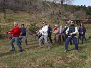 groupe pratiquant le tai chi corps vivant corps conscient en extérieur