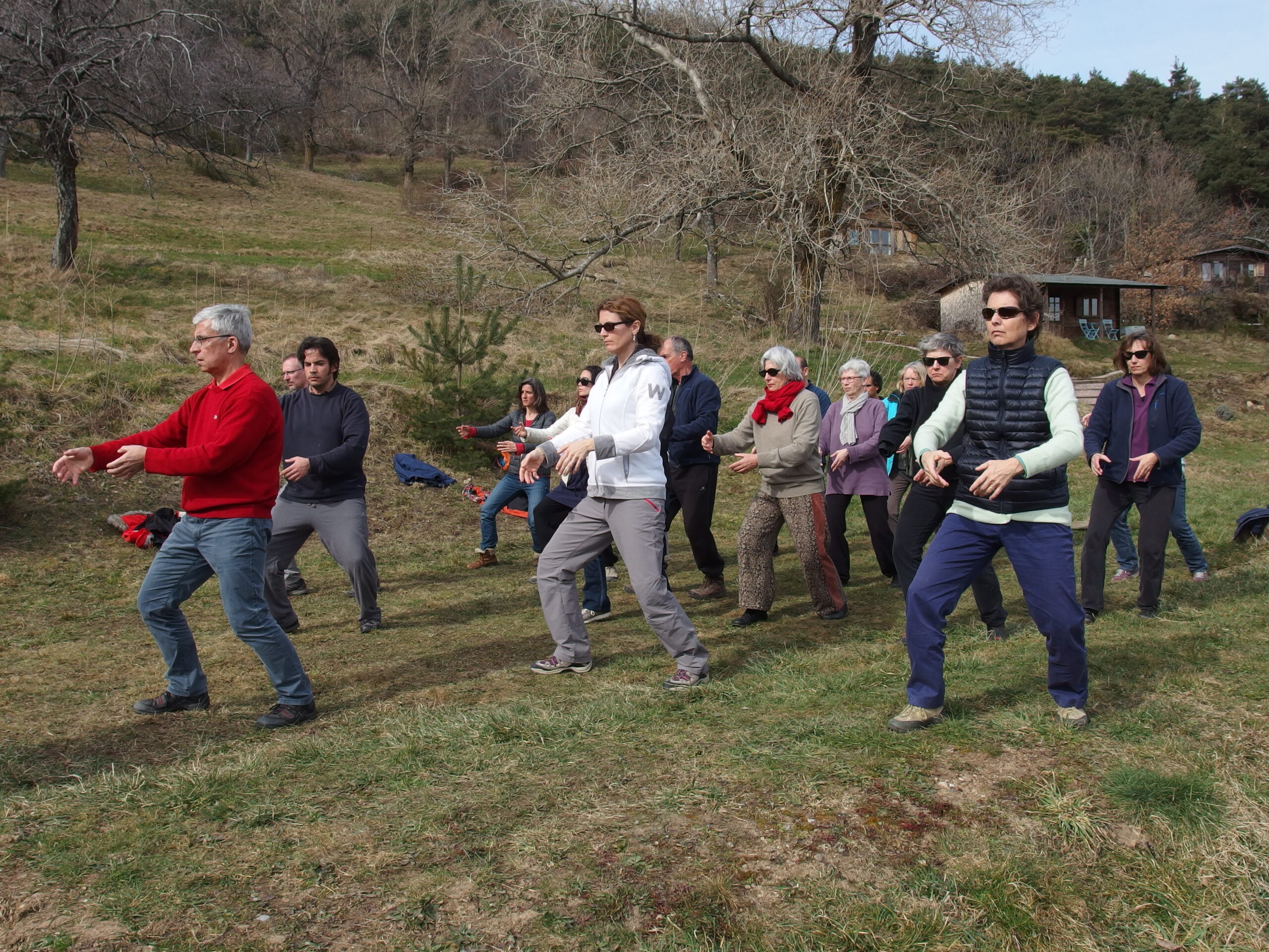 groupe pratiquant le tai chi corps vivant corps conscient en extérieur