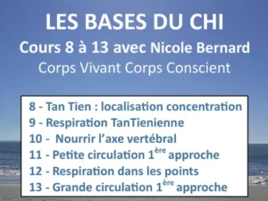 Formation “Les bases du travail du Chi” - Partie 3 - 6 cours - Centre et régénération